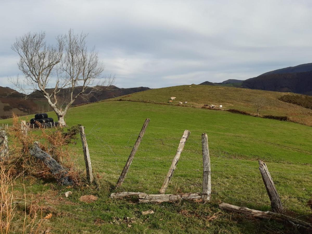 Apartamento Rural Elizondo Exteriör bild