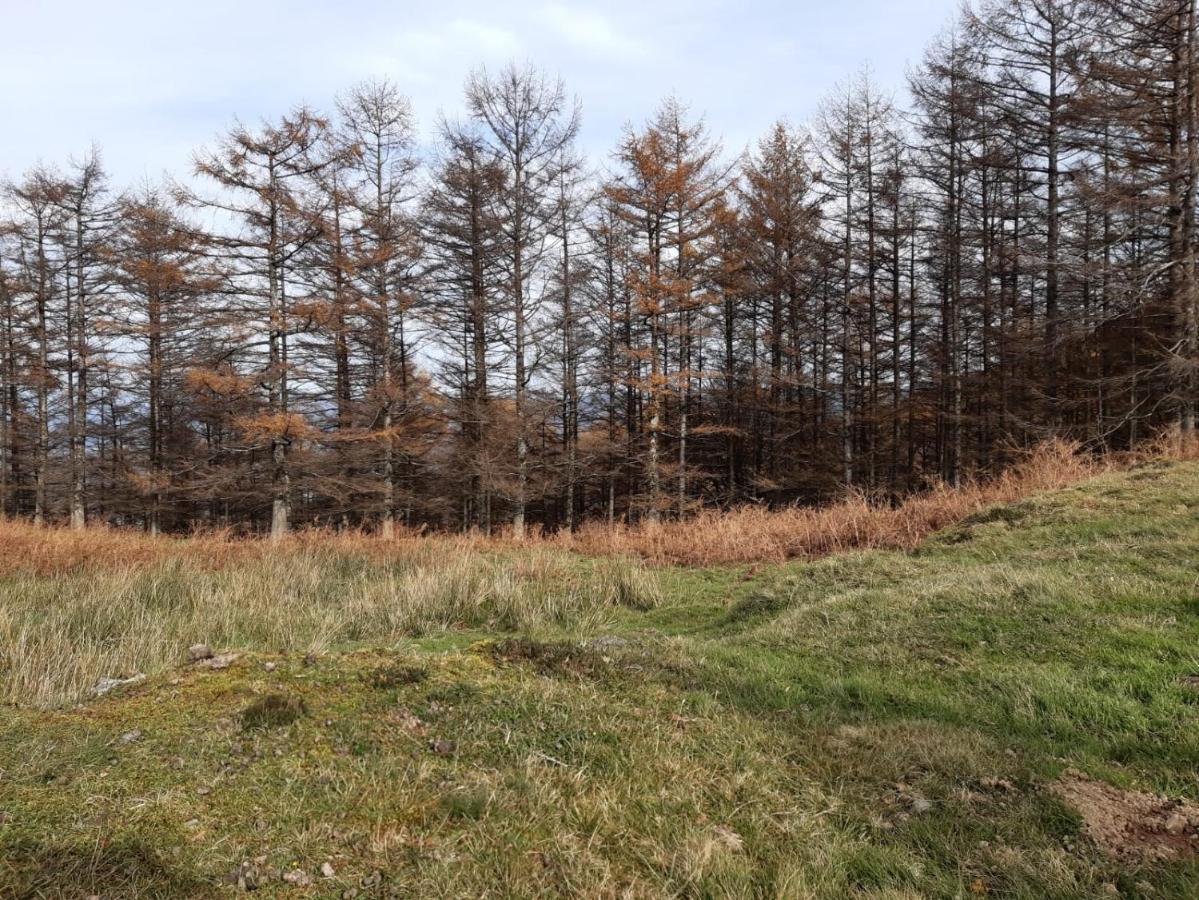 Apartamento Rural Elizondo Exteriör bild